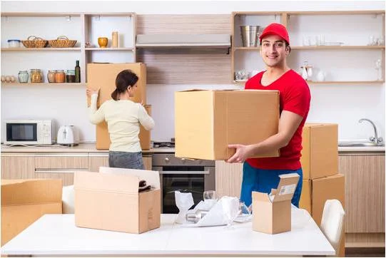 Professional mover carrying a cardboard box during residential shifting in Bangalore